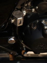 Reborn Novato Rear Break Fluid Guard