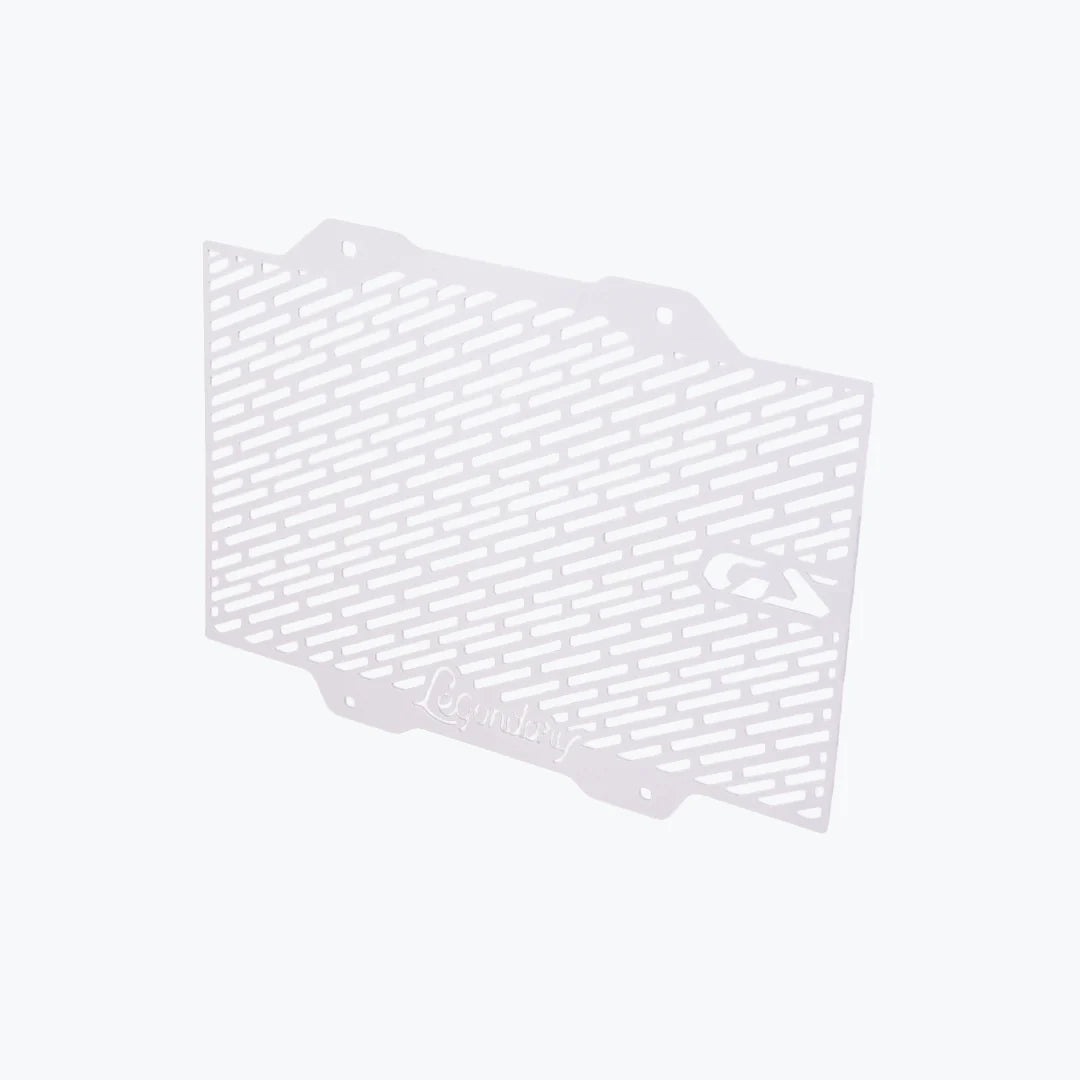 BMW F450 GS VECTOR RADIATOR GRILL SILVER