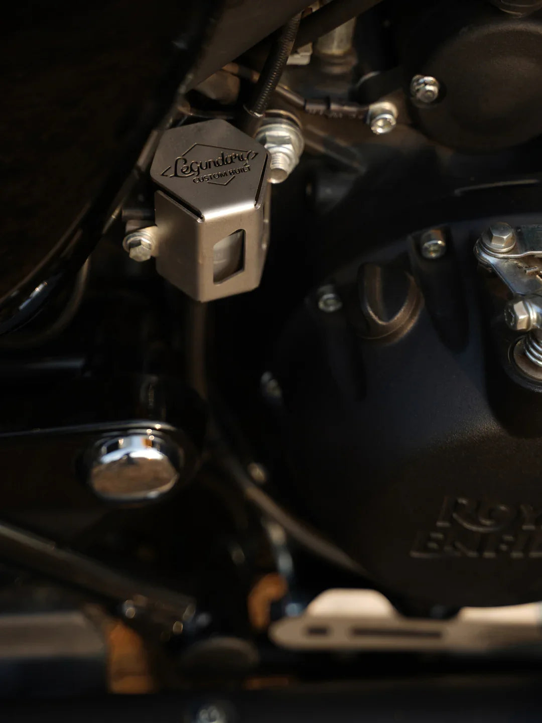 Reborn Novato Rear Break Fluid Guard